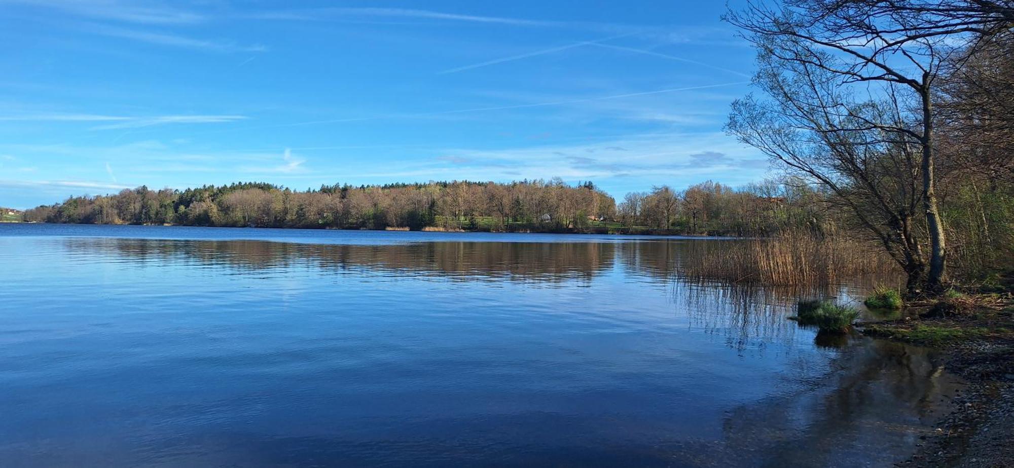 Ferienhaus Resch Laufen Exteriör bild