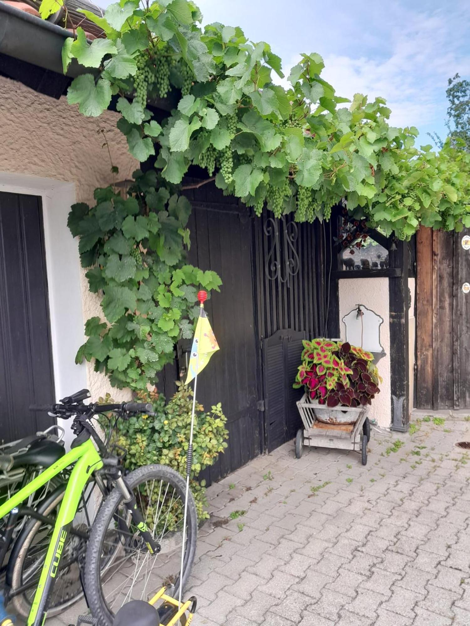 Ferienhaus Resch Laufen Exteriör bild